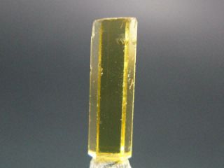 Gem Heliodor Golden Beryl Crystal From Tajikistan - 1.  4 Carats - 0.  5 "