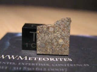 Meteorite Nwa 12462 - Primitive (unequilibrated) Chondrite : Ll3.  15