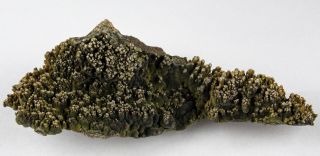 Botryoidal Mottramite - 14.  7 Cm / 5.  8 Inches - Ojuela Mine,  Mapimi,  Mexico 22318