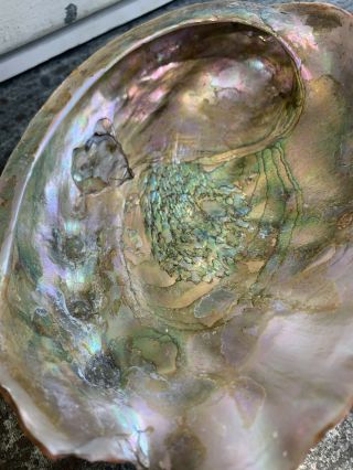 Abalone Shell with Lucite Feet Footed Trinket Candy Smudging Bowl 7.  5” Vintage 2