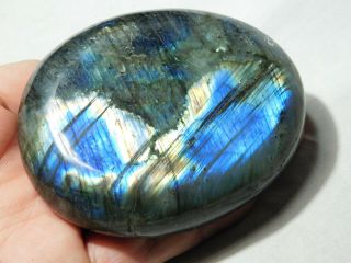 A Bright Blue And Gold Flash On This Big Polished Labradorite Pebble 262gr