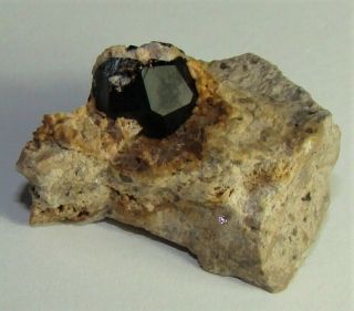Spessartine Garnet Crystal on Rhyolite - Lion Springs,  Aquarius Mountains Arizona 2