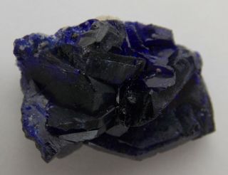 Azurite Crystals - 1.  8 Cm - Milpillas Mine,  Mexico 24062