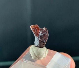 Red Spessartine Garnet Crystals: Navegadora claim.  Conselheiro Pena,  MG,  Brazil 2