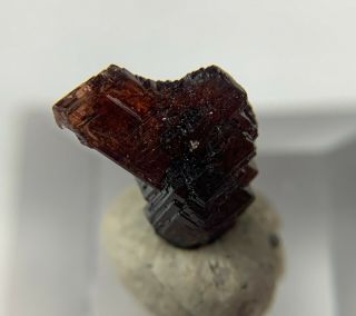 Red Spessartine Garnet Crystals: Navegadora claim.  Conselheiro Pena,  MG,  Brazil 3