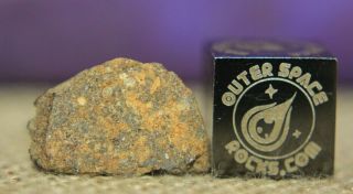 Barnstable H4 Chondrite Meteorite 0.  9g Frag From Massachusetts Found 4/6/2019