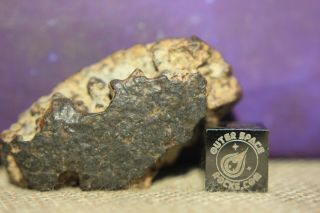Nwa Unclassified Meteorite 24.  5g Individual With Heavily Pitted Exterior