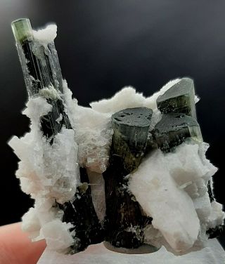 192 Cts Beautifull Green Cape Tourmaline Crystals With Albite From Staknala