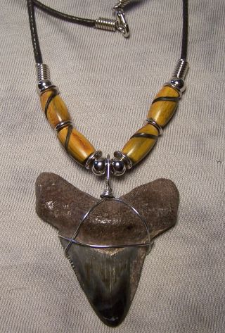2 1/16 " Megalodon Shark Tooth Shark Teeth Fossil Necklace Jaw Fishing Scuba