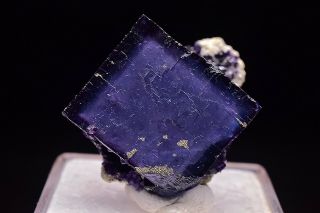 13g Natural Purple Fluorite Pyrite Crystal Cluster Rare Mineral Specimen China