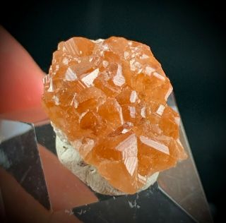 Orange Hessonite Garnet Crystal Cluster: Jeffrey Mine.  Asbestos,  Quebec,  Canada 2
