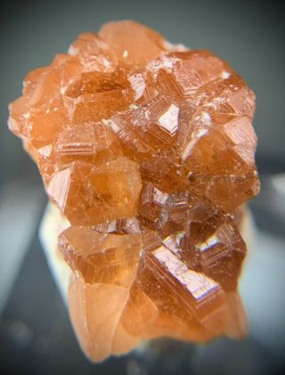 Orange Hessonite Garnet Crystal Cluster: Jeffrey Mine.  Asbestos,  Quebec,  Canada 3