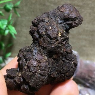 20pcs Top Best Rare dinosaur dung coprolite crystal Poop lenght 58mm - 90mm 3