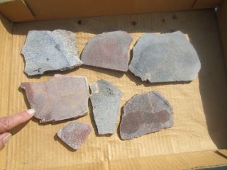 (br) Color Petrified Dinosaur Bone Fossil Slabs Jewelry Grade Color 1.  25,  Pounds