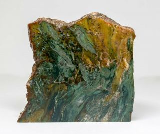 Hampton Butte Petrified Wood Rough From One Side And Polished On Other Side