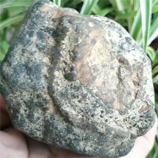 580g Olivine Meteorite Rare Metal Mineral Rock Crystal Specimen