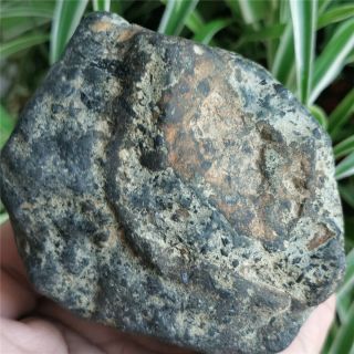 580g Olivine meteorite rare metal mineral rock crystal specimen 2