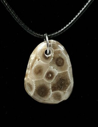 Ancient Michigan Petoskey Stone Polished Pendant Necklace Mi Rocks Gift Boxed