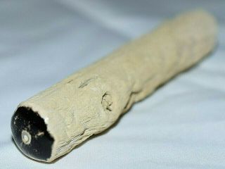 Polished Petrified Wood Limb Cast Specimen Knot & Preserved Bug Damage,  Wyoming 2
