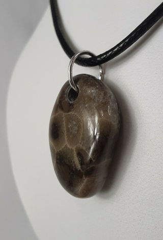 Ancient Michigan Black Petoskey Stone Polished Pendant Necklace Blk Braided Cord 3
