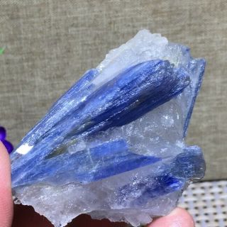 Rare Blue Crystal Natural Kyanite Rough Gem Stone Mineral Specimen Healing K1135
