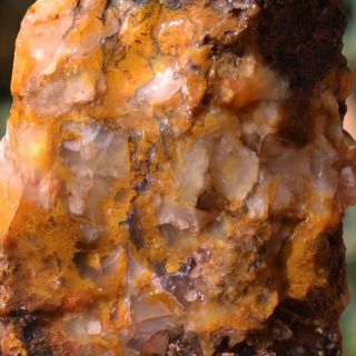 Petrified Wood Slab With Agate Raw,  Rough,  Large Natural Fossilized Wood Slice. 2