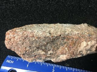 Utah red gem dinosaur bone from the Henry Mountains round 3