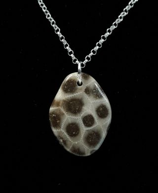 Ancient Michigan Petoskey Stone Polished Pendant Necklace Sterling Silver Chain