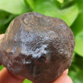 136 g Natural Stony Meteorite Specimen From Liaoning,  China 203 3