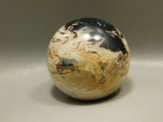 Petrified Palm Wood Sphere 1.  5 Inch Rock Stone Fossil 40 Mm Ball Indonesia 8
