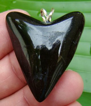 Juvenile - Megalodon Shark Tooth Necklace - 1 & 3/4 In.  Heart Shaped - Real