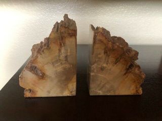 Petrified Wood Bookends 8 " Wide 5 1/2 " High 2 " Thick 5 Lbs.
