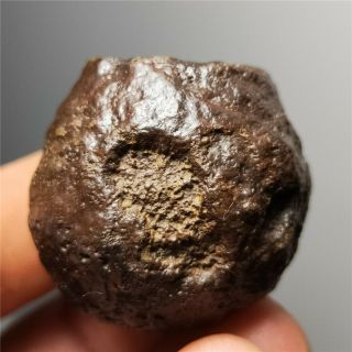 52g Natural Stony Meteorite Specimen From Liaoning,  China 422 2