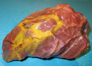 4 Lb.  Arizona Rainbow Petrified Wood Rough What Colors In Solid Material