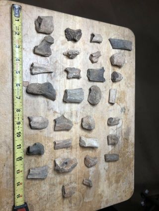 30 Misc Fossil Dinosaur And Reptile Bones From Hell Creek Formation Montana