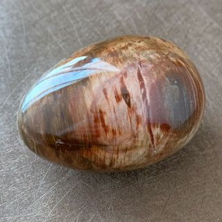 379g Natural Petrified Wood Egg Polished Specimen Madagascar J025