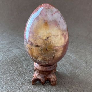 294g Natural Petrified Wood Egg Polished Specimen Madagascar J036