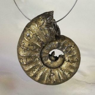 Ammonite Rare Gold Pyrite Fossil Crucilobiceras Uk Focal Bead Pendant 1.  56 G