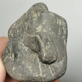 204g Olivine Meteorite Rare Metal Mineral Rock Crystal Specimen W1473
