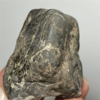 184g Olivine meteorite rare metal mineral rock crystal specimen W1472 3