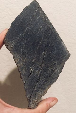 Utah Fossil Dinosaur Bone Slab 8 oz Jurassic Dino Bone Polished 2