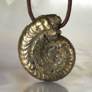 Ammonite Rare Gold Pyrite Fossil Crucilobiceras Uk Focal Bead Pendant 3.  05 G