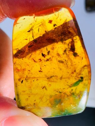 8.  45g Tree Leaf&wasp&fly&beetle Burmite Myanmar Amber Insect Fossil Dinosaur Age