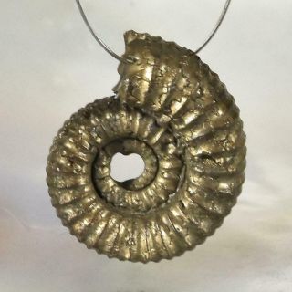 Ammonite Rare Gold Pyrite Fossil Crucilobiceras Uk Focal Bead Pendant 1.  17 G