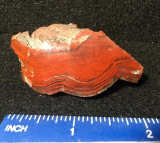 Utah Petrified Redwood Piece Polished And Banded Agate From The Henry Mts.