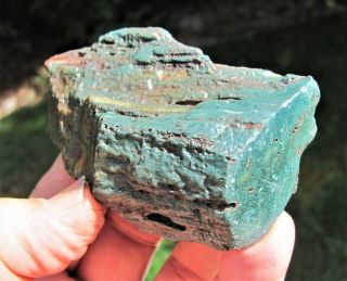 Cut & Polished Blue Green Hampton Butte Petrified Wood Specimen 4,  Oz