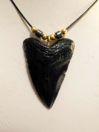 2 3/8 " Great White Shark Tooth Necklace On A 20 " Leather Cord
