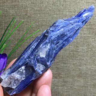 Rare Blue Crystal Natural Kyanite Rough Gem Stone Mineral Specimen Healing K1092