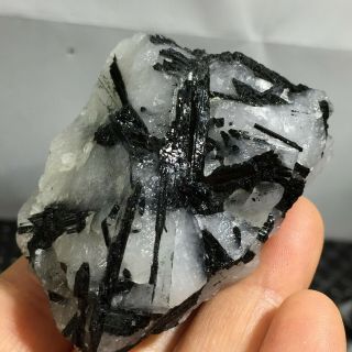 Top Natural Rough Black Tourmaline Crystal Cluster Mineral Specimen 82g A1713