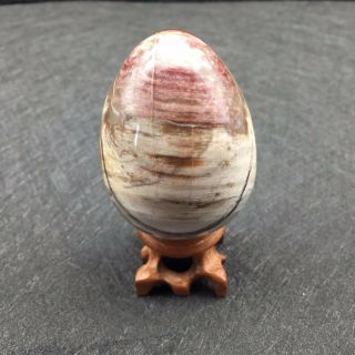 176g Natural Petrified Wood Egg Polished Specimen Madagascar Zx173